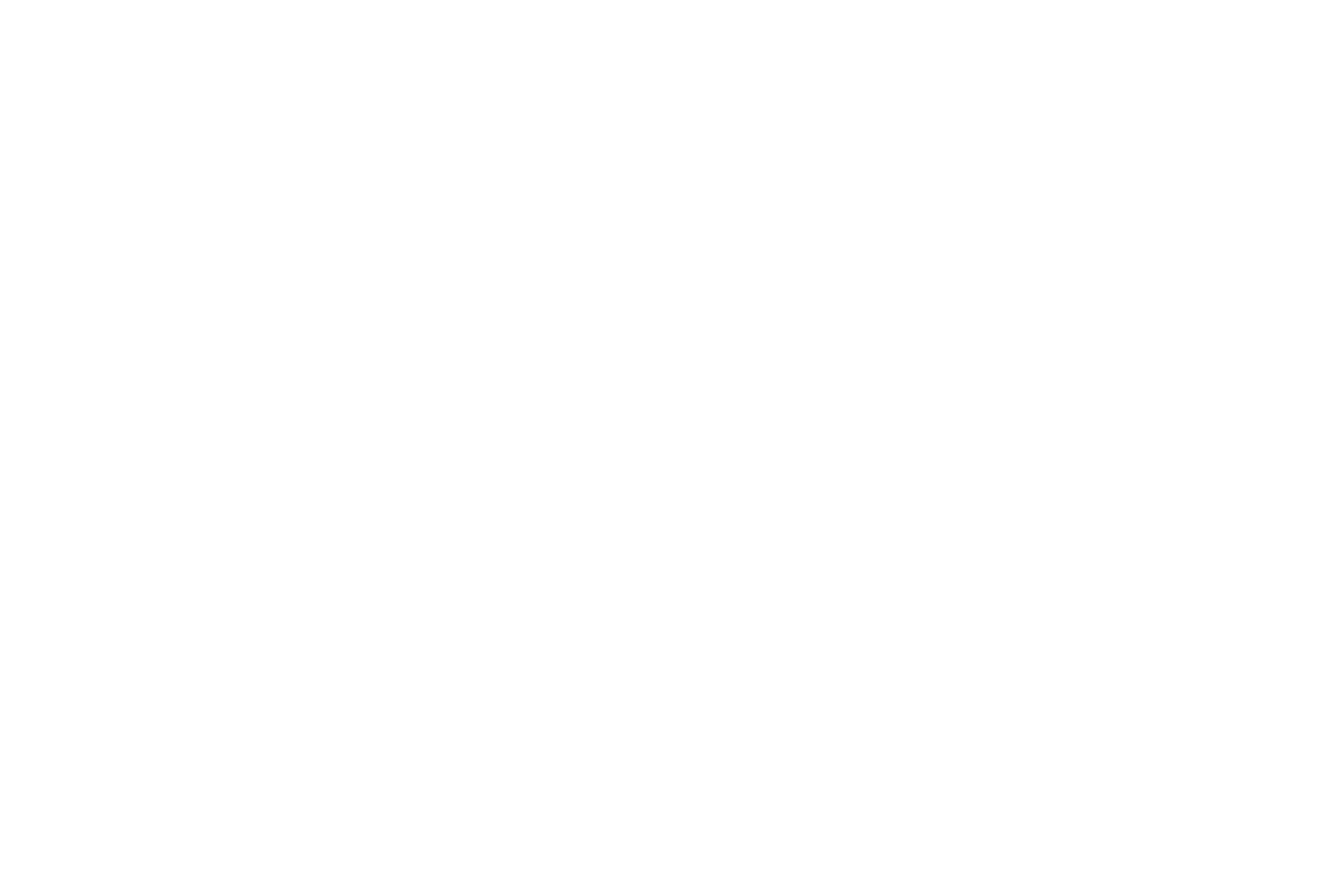 BFS – Partner der Dental Visionaries Events